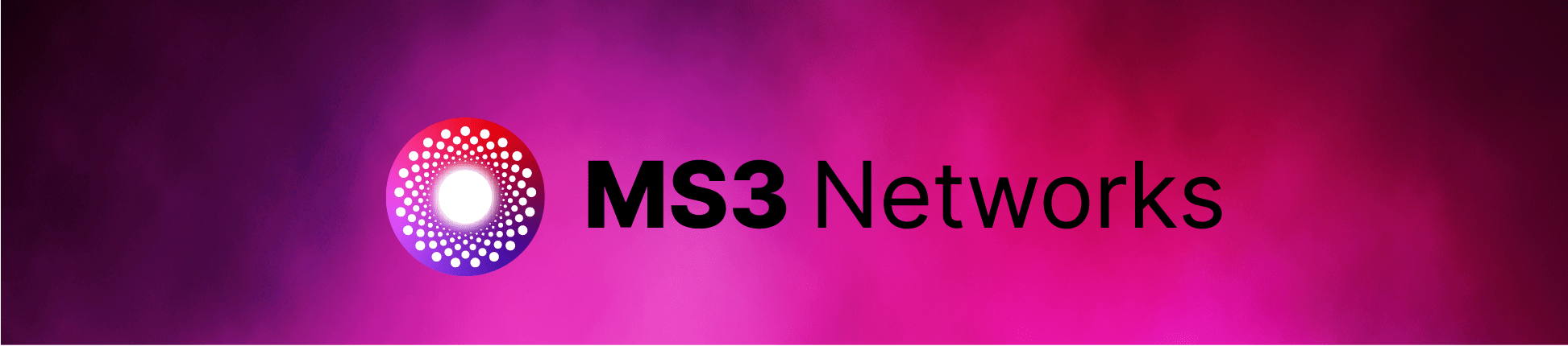 MS3 Networks Banner