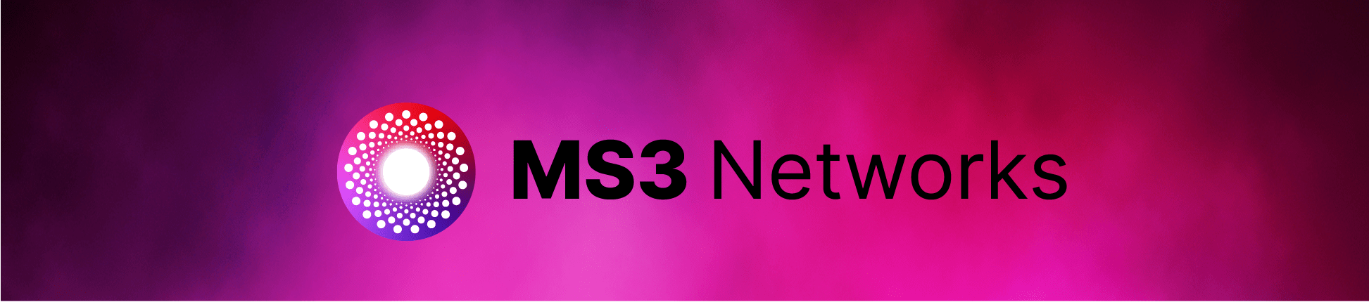 MS3 Banner MS3 Networks Banner
